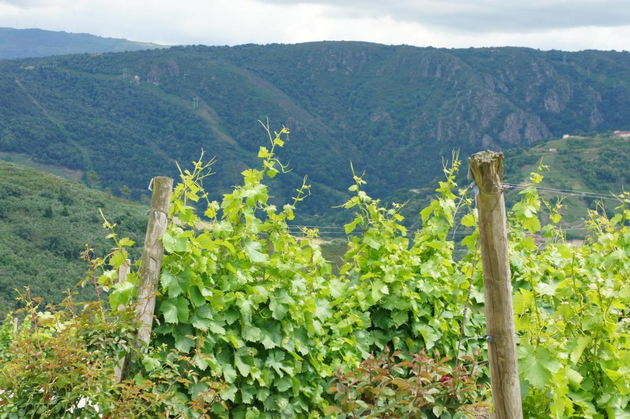 Apartamento O Muiño Casa Ferrador Ribeira Sacra Barantes Exterior foto